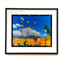 Load image into Gallery viewer, Hell's Gate (Film Rebate), Death Valley, California, 2000