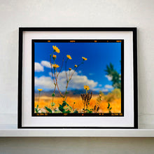 Load image into Gallery viewer, Hell's Gate (Film Rebate), Death Valley, California, 2000