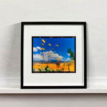 Load image into Gallery viewer, Hell's Gate (Film Rebate), Death Valley, California, 2000