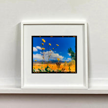 Load image into Gallery viewer, Hell's Gate (Film Rebate), Death Valley, California, 2000