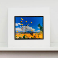 Load image into Gallery viewer, Hell's Gate (Film Rebate), Death Valley, California, 2000