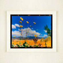 Load image into Gallery viewer, Hell's Gate (Film Rebate), Death Valley, California, 2000