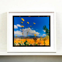 Load image into Gallery viewer, Hell's Gate (Film Rebate), Death Valley, California, 2000