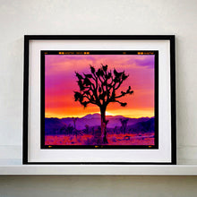 Load image into Gallery viewer, Joshua Tree Landscape, Mojave Desert, California, 2002