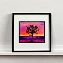 Load image into Gallery viewer, Joshua Tree Landscape, Mojave Desert, California, 2002