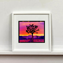 Load image into Gallery viewer, Joshua Tree Landscape, Mojave Desert, California, 2002