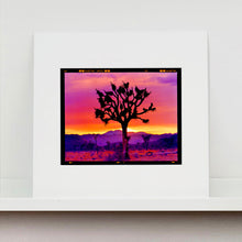 Load image into Gallery viewer, Joshua Tree Landscape, Mojave Desert, California, 2002
