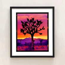 Load image into Gallery viewer, Joshua Tree Mojave Desert California sunset photograph by Richard Heeps framed in black