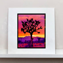 Load image into Gallery viewer, Joshua Tree Mojave Desert California sunset photograph by Richard Heeps mounted square