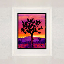 Load image into Gallery viewer, Joshua Tree Mojave Desert California sunset photograph by Richard Heeps framed in white