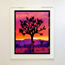 Load image into Gallery viewer, Joshua Tree Mojave Desert California sunset photograph by Richard Heeps framed in white