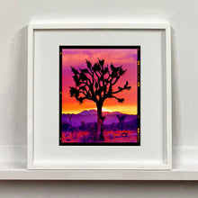 Load image into Gallery viewer, Joshua Tree Mojave Desert California sunset photograph by Richard Heeps mounted square framed in white