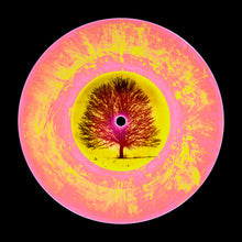 Load image into Gallery viewer, Vinyl Collection 'LTD ED VINYL (Ochre Pink)', 2025