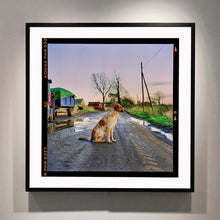 Load image into Gallery viewer, Black framed photograph by Richard Heeps. A brown and white patched/speckled dog sits in the middle of Fenland road. Farmers trucks and vehicles are strewn next to the road on the right hand side.