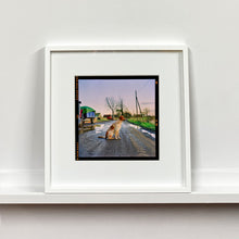 Load image into Gallery viewer, White framed photograph by Richard Heeps. A brown and white patched/speckled dog sits in the middle of Fenland road. Farmers trucks and vehicles are strewn next to the road on the right hand side.