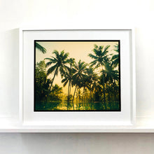 Load image into Gallery viewer, White framed photograph by Richard Heeps. Green palms trees against a warm golden sky, and reflected in a pool below.
