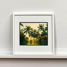 Load image into Gallery viewer, White framed photograph by Richard Heeps. Green palms trees against a warm golden sky, and reflected in a pool below.