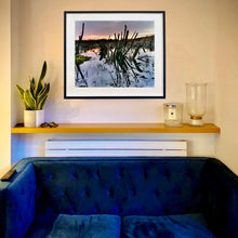 Load image into Gallery viewer, In situ black framed photograph by Richard Heeps. Photograph of cut down, lichen clad branches poking out of the flooded fen field. The branches are strikingly dark and create dark reflections with a golden sunset in the background.