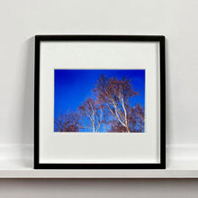 Load image into Gallery viewer, Black framed photograph by Richard Heeps. This photograph is looking up at the tops of four leafless silver birches against a deep blue autumn sky.