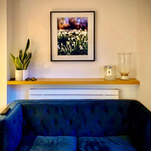 Load image into Gallery viewer, In situ photograph held by photographer Richard Heeps. Snow drops appear clearly close up and then out of focus in the distance. The sky is out of focus browns and goldens.