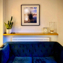 Load image into Gallery viewer, Black framed photograph by Richard Heeps in situ. A tussock of grass sits at dusk in fenland water. It is bathed in a golden dusk light.