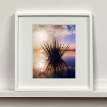 Load image into Gallery viewer, White framed photograph by Richard Heeps. A tussock of grass sits at dusk in fenland water. It is bathed in a golden dusk light.