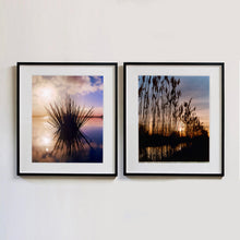 Load image into Gallery viewer, Two black framed photographs by Richard Heeps. The one on the left is of a tussock of grass sitting dark with its reflection at dusk in fenland water. It is bathed in a golden dusk light. The photograph on the right is tall fenland grass dark in the light of dusk with golden light filtering through it.
