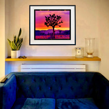 Load image into Gallery viewer, Joshua Tree Landscape, Mojave Desert, California, 2002