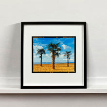 Load image into Gallery viewer, Black framed photograph by Richard Heeps.  Three palm trees on the beach at Clacton-on-Sea with shadows cast by the early evening light.