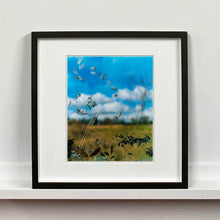 Load image into Gallery viewer, Black framed photograph by Richard Heeps. Feathers, leaves, sticks and other fenland debris appears at the front of this photograph with a hazy blue fenland sky and scene blurred behind.