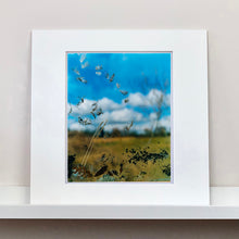 Load image into Gallery viewer, Mounted photograph by Richard Heeps. Feathers, leaves, sticks and other fenland debris appears at the front of this photograph with a hazy blue fenland sky and scene blurred behind.