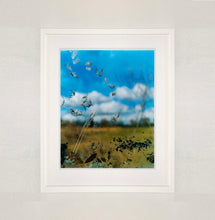 Load image into Gallery viewer, White framed photograph by Richard Heeps. Feathers, leaves, sticks and other fenland debris appears at the front of this photograph with a hazy blue fenland sky and scene blurred behind.