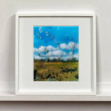 Load image into Gallery viewer, White framed photograph by Richard Heeps. Feathers, leaves, sticks and other fenland debris appears at the front of this photograph with a hazy blue fenland sky and scene blurred behind.