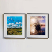 Load image into Gallery viewer, Two black framed photographs by Richard Heeps side by side. The left hand side one is of feathers, leaves, sticks and other fenland debris at the front of this photograph with a hazy blue fenland sky and scene blurred behind. The photograph on the right hand side is a fenland reed tussock sitting in the water, with a warm hazy blue and orange sky sitting behind.