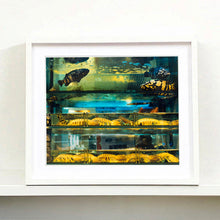 Load image into Gallery viewer, White framed photograph by Richard Heeps. Wet market fish tank filled with blue green and yellow fish, in a Hong Kong street.