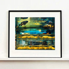 Load image into Gallery viewer, Black framed photograph by Richard Heeps. Wet market fish tank filled with blue green and yellow fish, in a Hong Kong street.