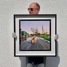 Load image into Gallery viewer, Black framed photograph held by photographer Richard Heeps. A brown and white patched/speckled dog sits in the middle of Fenland road. Farmers trucks and vehicles are strewn next to the road on the right hand side.