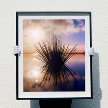 Load image into Gallery viewer, Black framed photograph held by photographer Richard Heeps. A tussock of grass sits at dusk in fenland water. It is bathed in a golden dusk light.