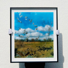 Load image into Gallery viewer, Black framed photograph held by photographer Richard Heeps. Feathers, leaves, sticks and other fenland debris appears at the front of this photograph with a hazy blue fenland sky and scene blurred behind.