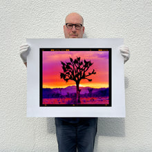 Load image into Gallery viewer, Joshua Tree Landscape, Mojave Desert, California, 2002