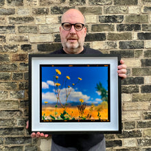 Load image into Gallery viewer, Hell's Gate (Film Rebate), Death Valley, California, 2000