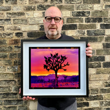 Load image into Gallery viewer, Joshua Tree Landscape, Mojave Desert, California, 2002