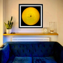 Load image into Gallery viewer, Vinyl Collection 'Twist and Shout', 2025