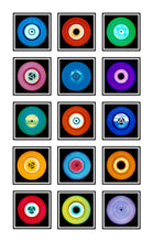 Load image into Gallery viewer, Fifteen Piece Vinyl Installation