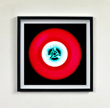 Load image into Gallery viewer, Sixteen Piece Vinyl Collection