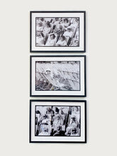 Load image into Gallery viewer, Bandstand Set of Three, Eastbourne, 1985