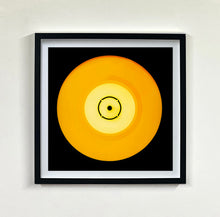 Load image into Gallery viewer, Sixteen Piece Vinyl Collection