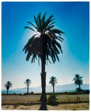 Load image into Gallery viewer, Classic Palm Tree Print, against a blue sky above desert, mountains and sea.