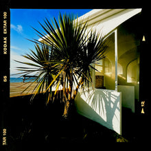Load image into Gallery viewer, Photograph by Richard Heeps.  Palm Trees bathed in sunlight next to a beach house, with the sea in the background. 