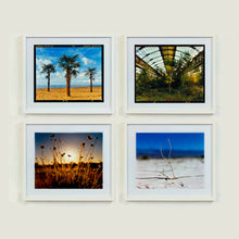 Load image into Gallery viewer, 4 white framed photographs by Richard Heeps.  The top left photo is of three palm trees on golden sand with a blue cloudy sky, the top right photograph is of  inside a vast greenhouse, bottom left is browned tall grass sitting in front of a golden autumn sunset, the bottom right one is a white twig sitting on white sand with a blue sky in the background.